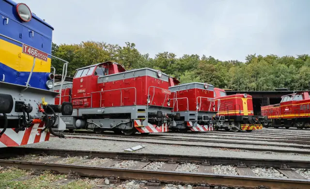 CDID8557