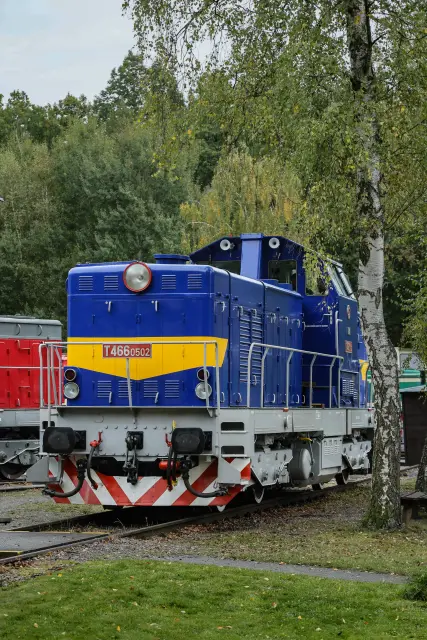 CDID8629